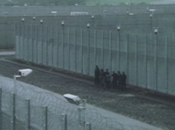 THS_01