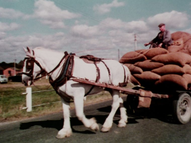 OE-23863 Goodness.mov_h264.mov.01_00_18_12.Still002-min