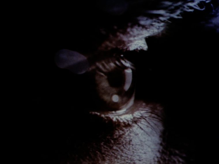 Draw Your Own Conclusions-min