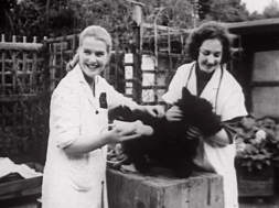 AA526-Madrai-ar-Saoire_02