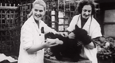 AA526-Madrai-ar-Saoire_02