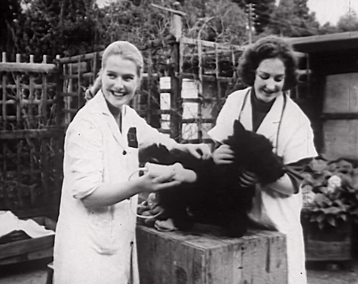 AA526-Madrai-ar-Saoire_02