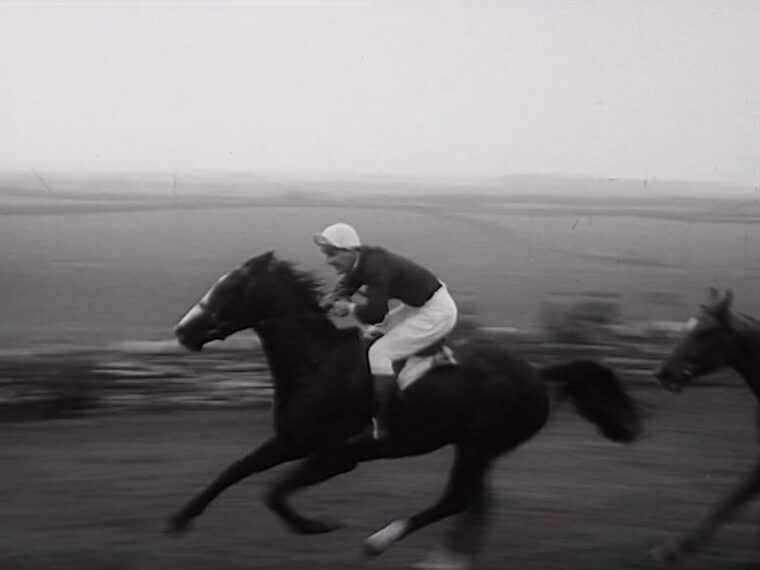 aaa1339_E43.4-North Kilkenny Hunt Point to point