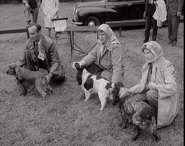aaa1354_111.1_Dogs on Show at Bray