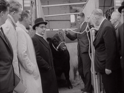 aaa1362_205.3_Gift of Bull Sent to Pope