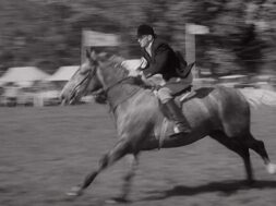 aaa1362_E205.1_Mount Merrion Horse Show