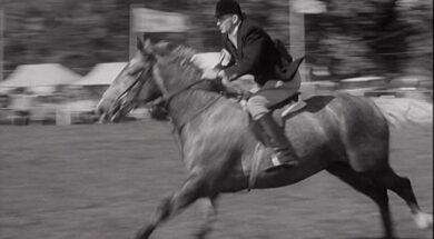 aaa1362_E205.1_Mount Merrion Horse Show