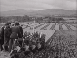 mv257aa_E41.4_Co Wicklow Ploughing Championships