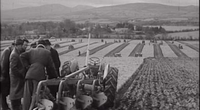 mv257aa_E41.4_Co Wicklow Ploughing Championships