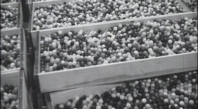 mv258aa_E16.2-Irish-American Enterprise New Bubblegum Factory in Kilcock