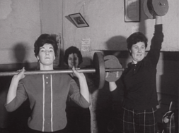 mv260aa_E186.4_Muscles For Everyone