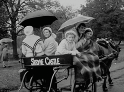 mv274aa_E20.2_Wagon Wheels in Phoenix Park