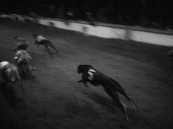 mv274aa_E21.3_Shelbourne Park The Flogging Reel Wins McAlinden Gold Cup