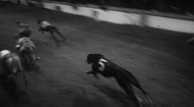 mv274aa_E21.3_Shelbourne Park The Flogging Reel Wins McAlinden Gold Cup