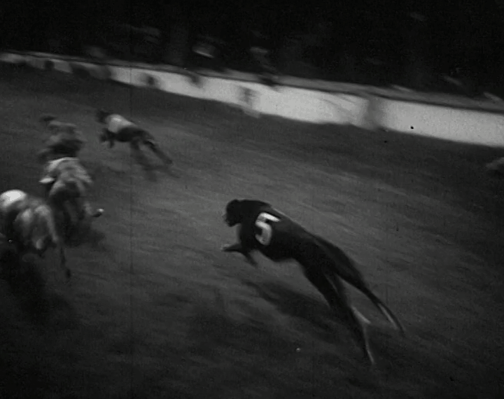 mv274aa_E21.3_Shelbourne Park The Flogging Reel Wins McAlinden Gold Cup