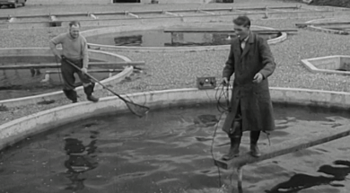 mv274aa_E22.4_Roscrea-Farming With A Difference