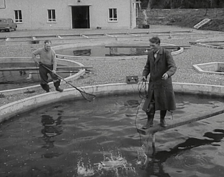 mv274aa_E22.4_Roscrea-Farming With A Difference