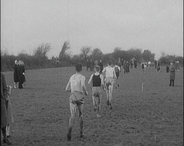 mv278aa_E88.2_Senior Cross Country Championships