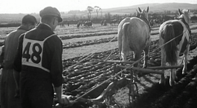 mv279aa_E76.2_New Ross National Ploughing Championships
