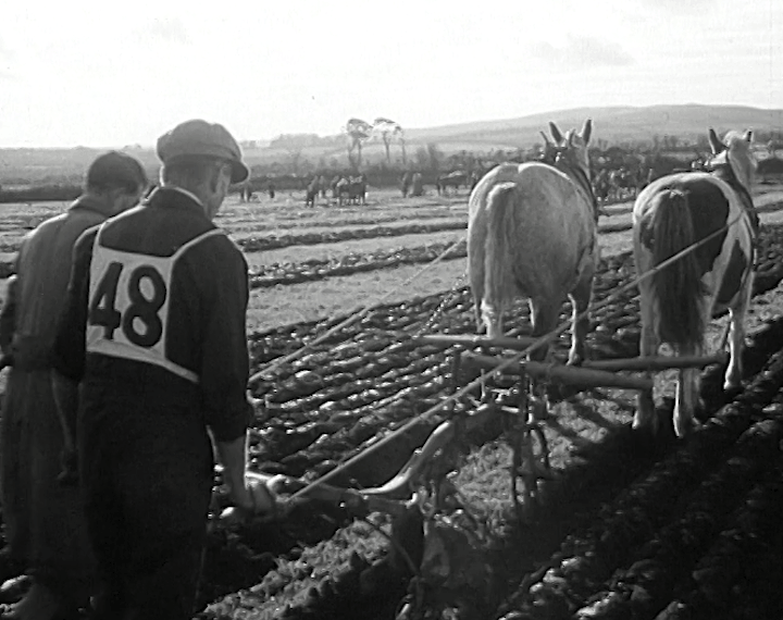 mv279aa_E76.2_New Ross National Ploughing Championships