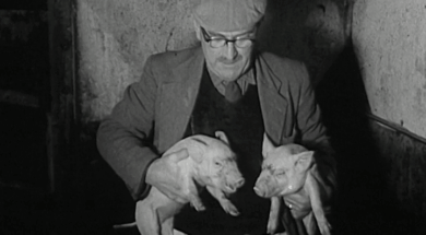 mv279aa_E78.3_Bagenalstown, Carlow New Look In Pig Production Methods