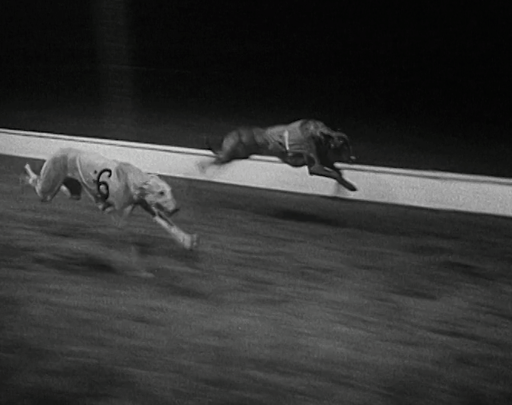 mv279aa_E82.3_Racing At Shelbourne Park