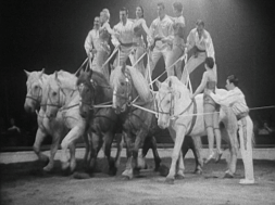 mv289aa_E114.3_The Circus Comes To Town_02