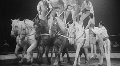 mv289aa_E114.3_The Circus Comes To Town_02