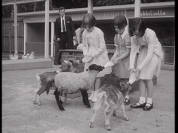 mv339aa_E2.2-Luxury Liner Docks at Dublin-01