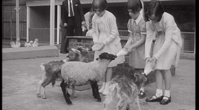 mv339aa_E2.2-Luxury Liner Docks at Dublin-01