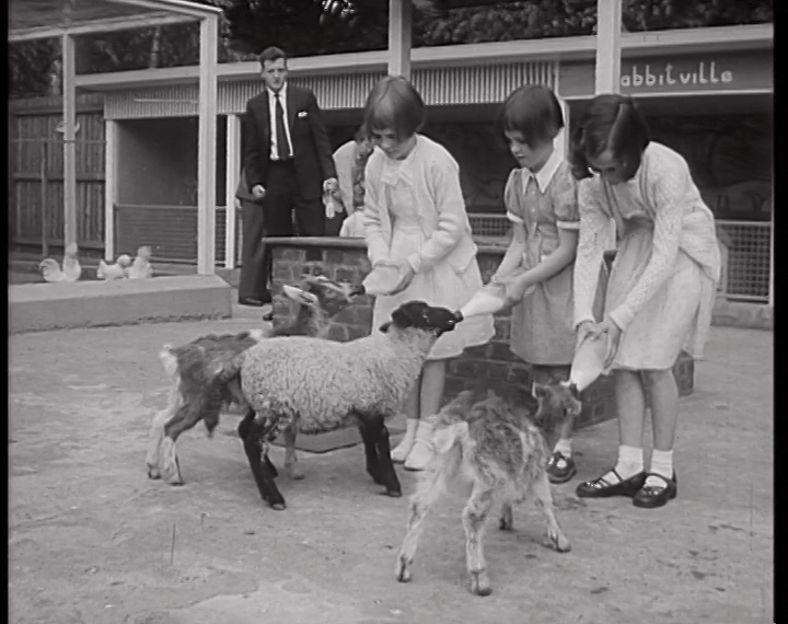 mv339aa_E2.2-Luxury Liner Docks at Dublin-01