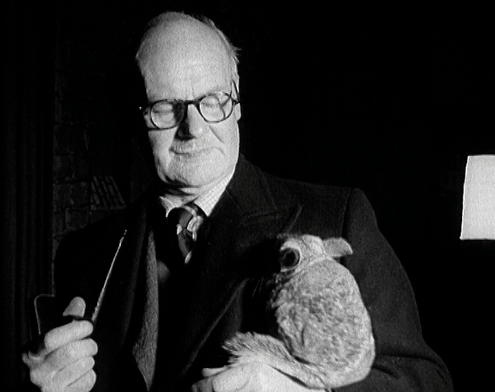 re-edit_mv297aa_e80.3_‘Furs of the Future’ at Chinchilla Show